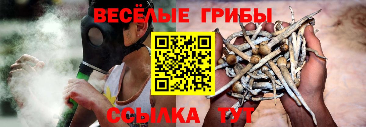 Галлюциногенные грибы прущие грибы  Вход с VPN  Дивногорск 
